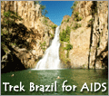 Trec Brazil for AIDS