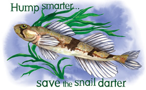 Hump smarter... save the snail darter. DARTER: The snail darter lives in just nine populations in the Tennessee River drainage in eastern Tennessee. Its habitat has been severely reduced by dams constructed to provide water, power, and barge transportation to a rapidly growing human population. It was put on the endangered species list in 1975.