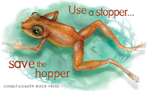 Use a stopper... save the hopper. COQU? GUAJ?N ROCK FROG: The Puerto Rico rock frog, also known as the coqu guajn, lives in caves, grottos, and streamsides in southeast Puerto Rico. It was put on the endangered species list in 1997 due to destruction of its habitat by urban sprawl and roads, garbage dumping, deforestation, and pesticide poisoning.