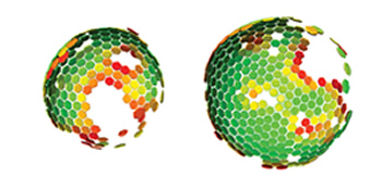 Lattice maps for immature HIV particles. The 3D computer reconstruction shows the immature Gag lattice of HIV that matures to form the protein shell of the infecious virus. Maps are shown in perspective such that hexamers on the rear surface of the particle appear smaller. The side of the
particle toward the viewer lacks ordered Gag. (John Briggs/EMBL)