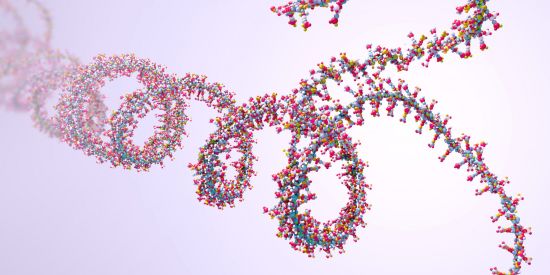 HIV chooses how to package itself for replication in the human body using just two small points on a strand of its RNA, a recent study has found. The study could have implications for future HIV treatments.