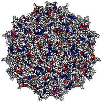An illustration shows the crystal structure of the adeno-associated virus used to deliver broadly neutralizing antibodies as Vectored ImmunoProphylaxis against HIV. [Credit: Alejandro Balazs / California Institute of Technology]