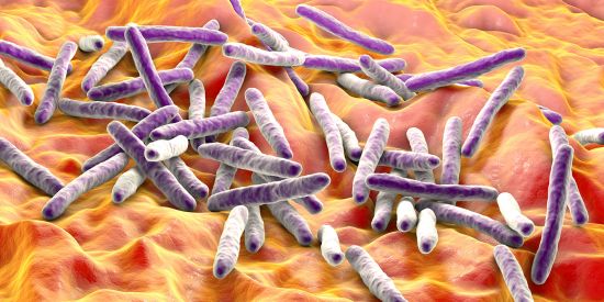 3D illustration of Mycobacterium tuberculosis, the pathogen that causes TB (Kateryna Kon/Shutterstock) 3D illustration of Mycobacterium tuberculosis, the pathogen that causes TB (Kateryna Kon/Shutterstock)