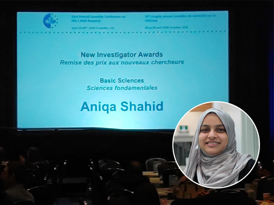 FHS PhD candidate Aniqa Shahid was named the top young HIV basic sciences researcher in Canada by the Canadian Association for HIV Research (CAHR) at their 33rd annual conference in London, ON FHS PhD candidate Aniqa Shahid was named the top young HIV basic sciences researcher in Canada by the Canadian Association for HIV Research (CAHR) at their 33rd annual conference in London, ON