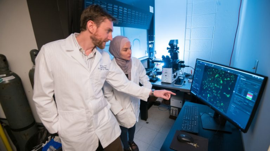 Archive Photo: Jason Paris (left) and fourth-year graduate student Alaa Qrareya image calcium in cultured neural cells in Paris’ laboratory in 2019 at the School of Pharmacy. Archive Photo: Jason Paris (left) and fourth-year graduate student Alaa Qrareya