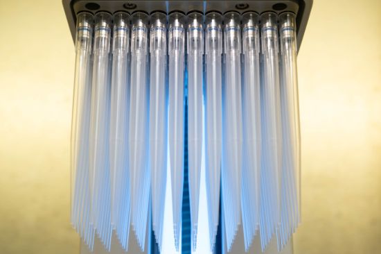An electronic 96-channel pipette was one of the tools used to scale up and allow the team to perform over 7,000 parallel experiments that uncovered more than 100 bNAb escape mutations across 15 viral strains. (Credit: Lori Chertoff)