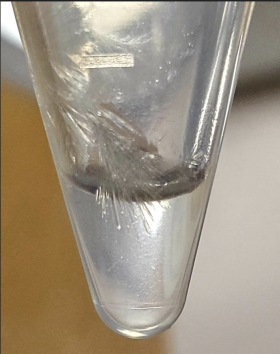 tiny crystals over solution in a plastic tube