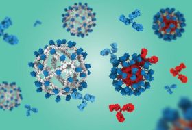 How �invisible� vaccine scaffolding boosts HIV immune response