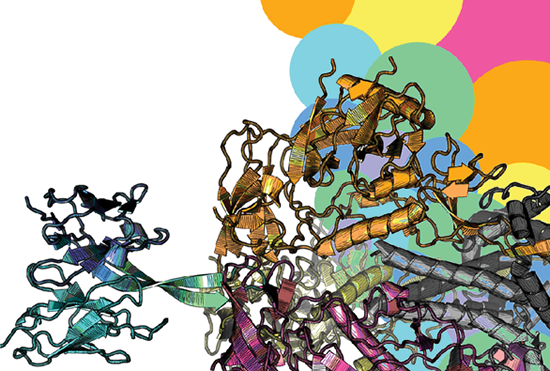 Graphic Design of DNA strands