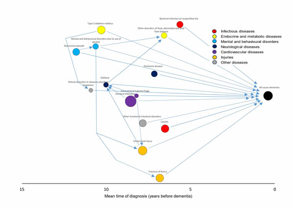 Image Caption: Image Caption: Associations between dementia-related diseases. For clarity, the figure illustrates associations between 14 of the 29 dementia-related diseases identified in the study (all 29 diseases are shown in Fig 4 of the paper in PLOS Medicine).Image Credit:Sipil� PN, et al., 2026, PLOS Medicine, CC-BY 4.0