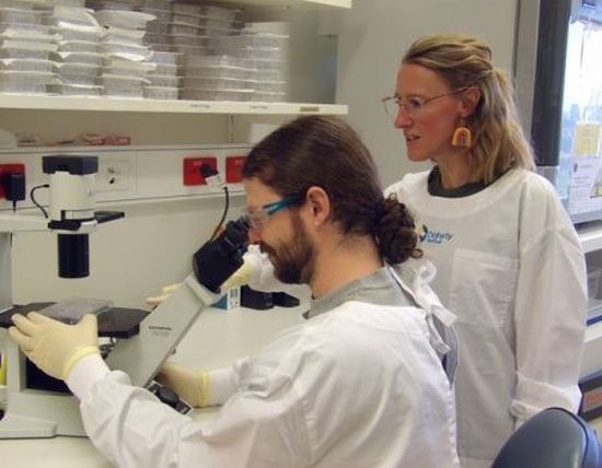 Dr Annabell Bachem (right) and Dr Sven Engel working in the lab.