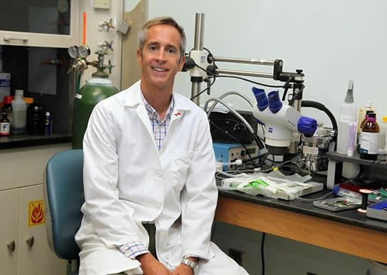 Photo: Dr. Eric Belin de Chantemele, Vascular Biology Center and Department of Medicine at the Medical College of Georgia - Scientists explore the obesity paradox cardiovascular risk of hiv - JAGWIRE - jagwire.augusta.edu