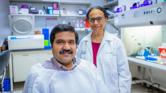 Dr. Savita Pahwa, right, director of the University of Miami's Center for AIDS Research, in her lab with research assistant professor Suresh Pallikkuth.
Photo: Diego Meza-Valdes/University of Miami