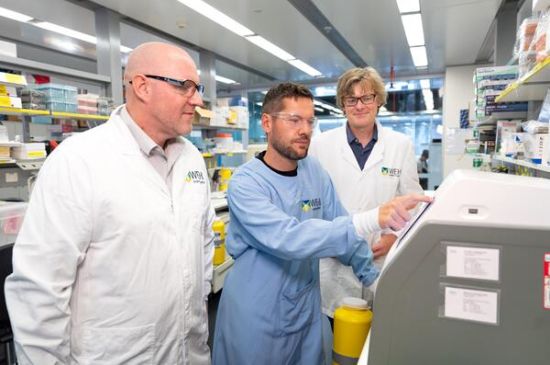 Dr Shane Devine (left) and his colleagues Dr Marcel Doerflinger and Prof David Komander.