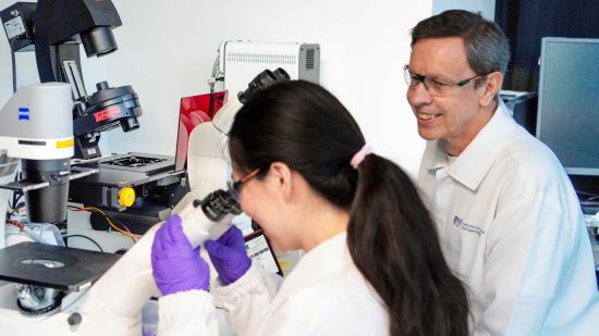 A new antibiotic called COE-PNH2 developed by Professor Guillermo Bazan (right), from the NUS Institute for Functional Intelligent Materials and the Department of Pharmacology at NUS Yong Loo Lin School of Medicine, and Ms Zhang Kaixi (left), formerly from the Department of Chemistry at NUS Faculty of Science, could potentially treat stubborn mycobacterial lung infections safely and more effectively. COE-PNH2 eliminates the bacteria more thoroughly and exhibits low frequency of resistance.