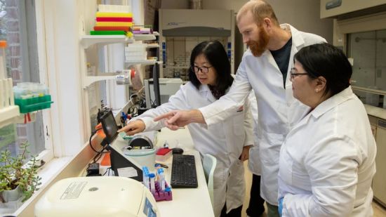 Hong Moulton, left, Scott Bittner, center, and Yen Tran at work in Moulton's lab. Photo courtesy Jens Odegaard, CCVM.