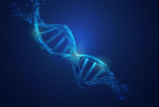 Illustration of DNA Molecule