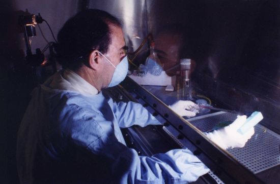 Jay Levy, MD, deeply engaged in his early research, in an updated photo. Photo courtesy of UCSF Archives Jay Levy, MD, deeply engaged in his early research