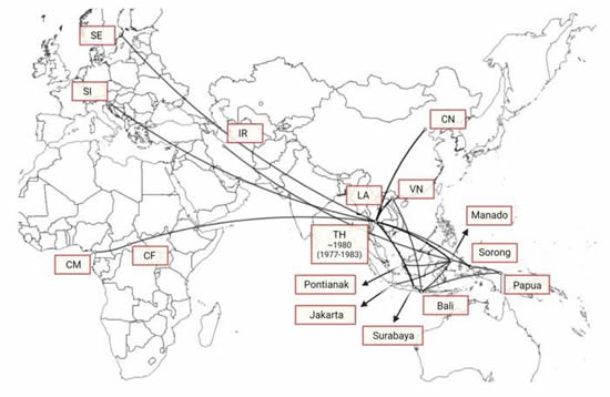 IMAGE: According to the data of the Kobe University research team, the HIV substrain dominant in Southeast Asia was brought to Thailand around 1977, from where it started to spread through this part of the world. The virus was brought to Indonesia at least three different times, sometimes via different countries such as Vietnam and Laos. And while it was mostly Thai substrains that spread to other parts of the world, it was an Indonesian substrain that moved on to Iran. CREDITS.Q. Khairunisa et al. Published by Springer Nature S.Q. Khairunisa et al. Published by Springer Nature