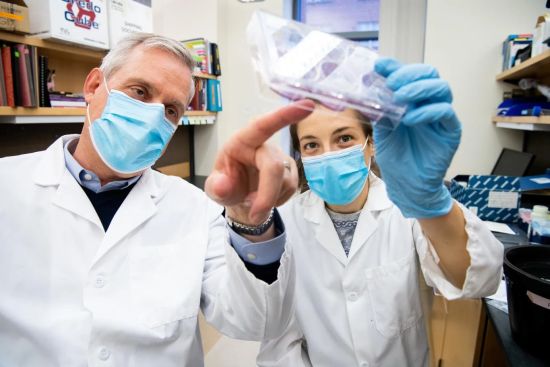 Karl Munger has been studying the connections between viruses and cancer for more than 30 years. Here, he's pictured in his lab with a graduate student in 2021.
Photo: Alonso Nichols / Tufts University