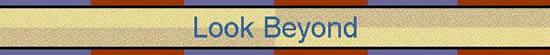 Banner: L00K BEYOND - www.snowyowl.org