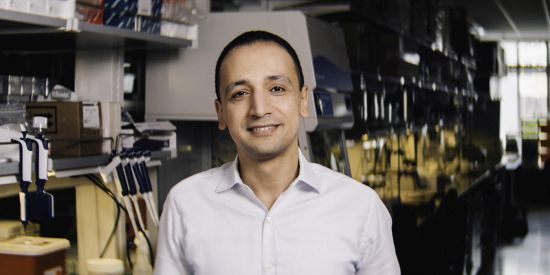 Mohamed Abdel-Mohsen, Ph.D.
