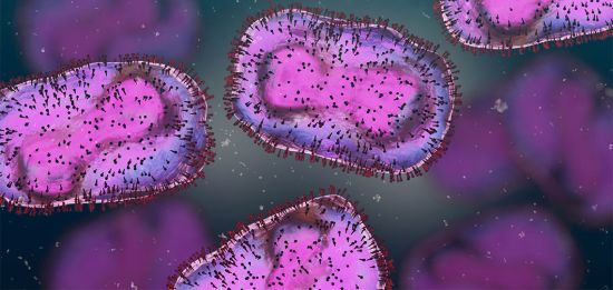 Monkeypox virus Monkeypox virus
