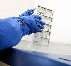  Photo: A technician removes a case of modified cells from storage in an ultra-low temperature freezer for final testing prior to infusion.