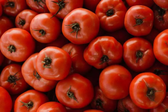 Red tomatoes