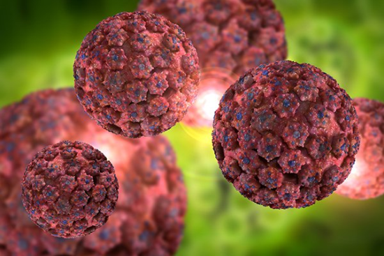 Nearly two-thirds of study participants cleared their HPV infection with daily use of AHCC. Photo by Getty Images