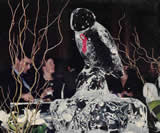 Snowy Owl Ice Sculpture at Book Launch - Snowy Owl AIDS Foundation Presents: LOOK BEYOND The Faces & Stories of People with HIV/AIDS by Michelle Valberg at the Parliament Buildings, West Block, Novermber 28, 1996, in Ottawa, Canada.