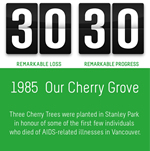 30 30 AIDS Vancouver Campaign: 1985 - Our Cherry Grove - 3030.aidsvancouver.org