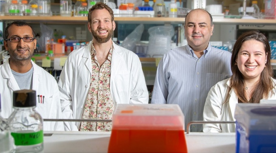 UB researchers in the lab are (from left) Uddhav Timilsina, Brandon Waxman, Spyridon Stavrou and Emily Ivey. Photo: Sandra Kicman Uddhav Timilsina, Brandon Waxman, Spyridon Stavrou and Emily Ivey