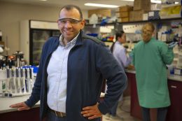 UM researcher Walid Abdelwahab is a co-principal investigator on a $12.3 million contract to develop a vaccine adjuvant for use in a tuberculosis vaccine.