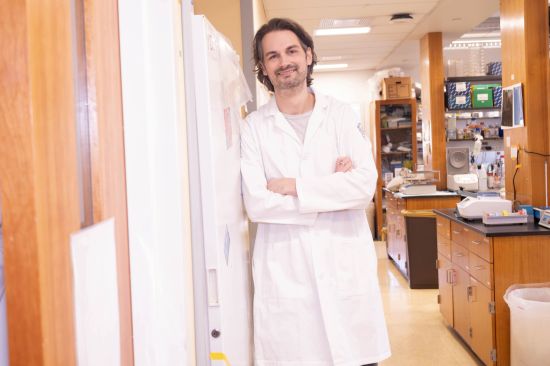 Research Associate Alexander Lercher is uncovering immune pathways that let our bodies adapt to viral threats over time. (Credit: Lori Chertoff)