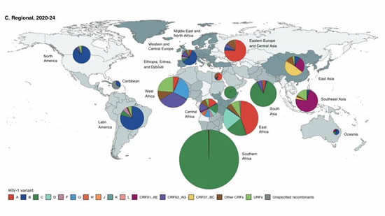 Global map of HIV-1 variants across regions.