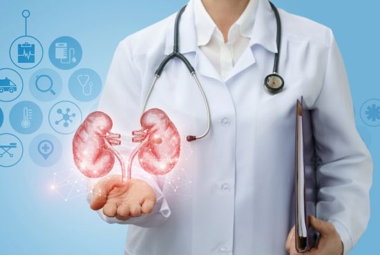 Doctor in a lab coat with an illustration of kidney's above their hand.