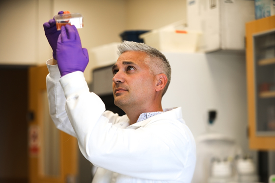 Photo: Jonah Sacha, Ph.D., at OHSU - (OHSU/Christine Torres Hicks) Photo: Jonah Sacha, Ph.D., at OHSU - (OHSU/Christine Torres Hicks)