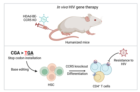 Fred Hutch CRISPR gene editing strategy diagram