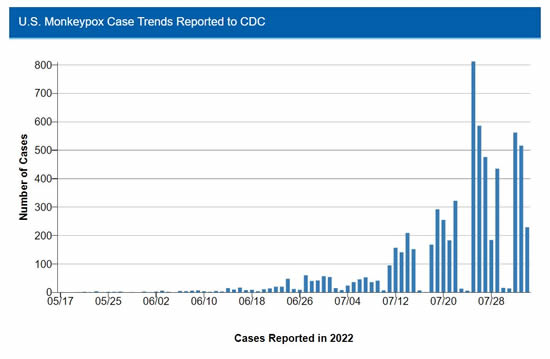 Monkeypox Cases Reported in 2022