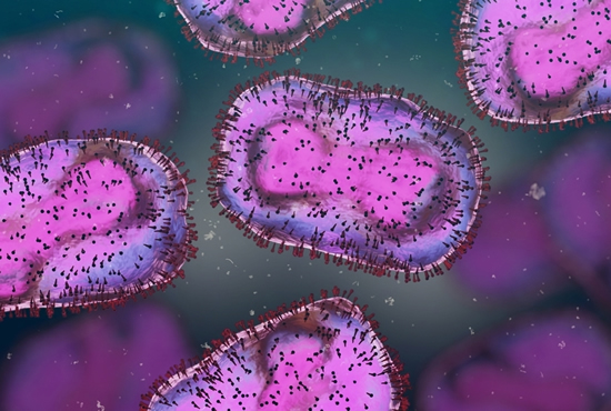 3D illustraion of mpox virus. Credit: Shutterstock