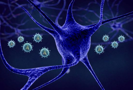 HIV (round, light blue spheres) can enter a person�s central nervous system and infect certain brain cells. The effects of this chronic infection and associated inflammation can lead to HIV-associated neurocognitive disorder (HAND), including memory problems, difficulty concentrating, mood abnormalities and slowed movements. Credit: Shutterstock illustration