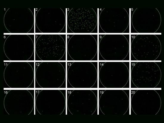 A grid of black circles with some displaying green dots A grid of black circles with some displaying green dots