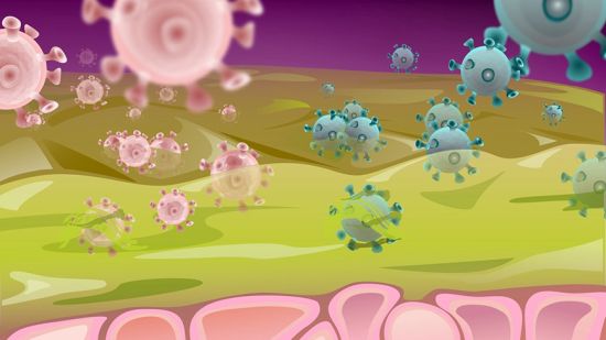 The synthetic gel replicates the self-healing function of mucus in the body: mucin molecules trap virus particles, such as HIV and herpes, which are then cleared through mucus turnover. (Image:Cosmin Butnarasu) Drawn spike protiens float in the body, and some are caught in the mucus, where they disintegrate