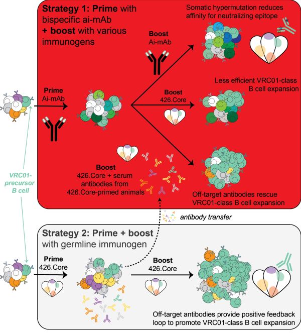 Summary model of paper